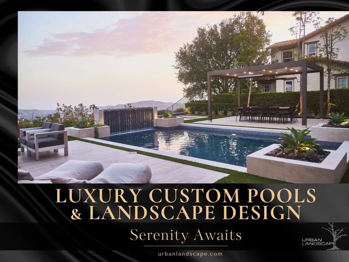 Modern backyard with a luxury pool, lounge area, and landscaped greenery.
